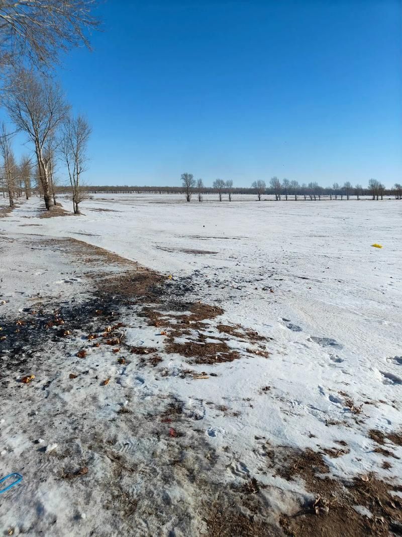 梨树县：东北黑土平原上的疫情防波堤