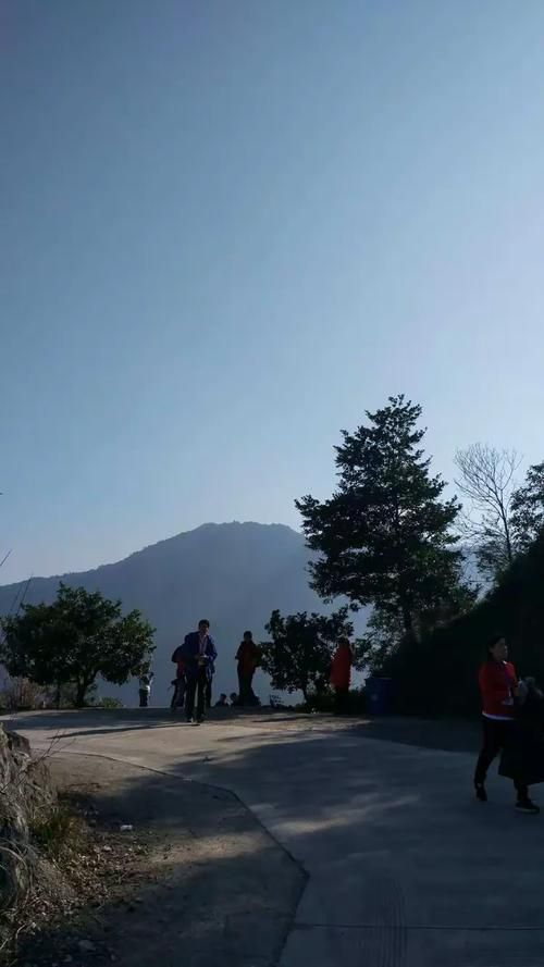 崇阳:鄂南林海间的疫情防线与破防时刻