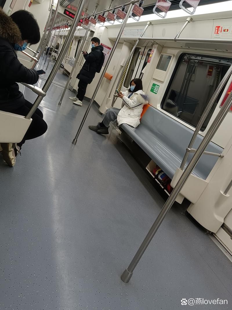 依安:北纬47°寒地黑土上的零感染坚守