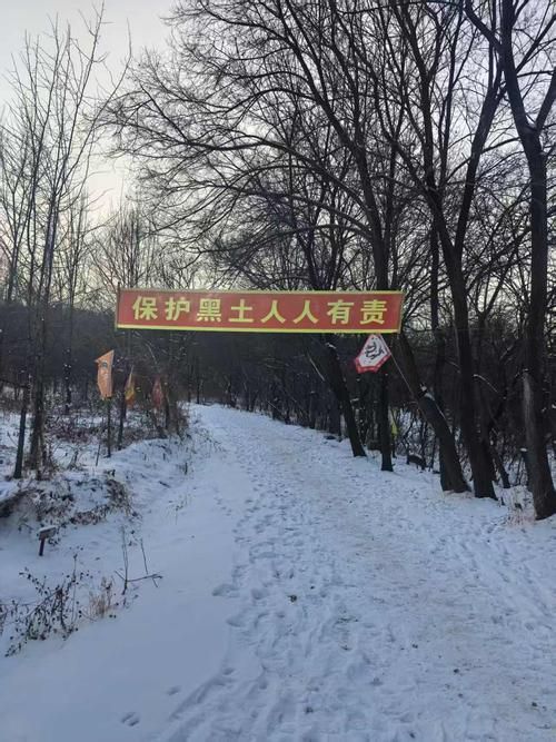 明水县的防疫坚守：寒地黑土上的零感染防线_35914