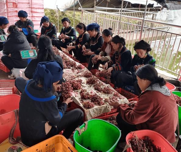 美姑：大凉山腹地的零感染坚守与地理屏障