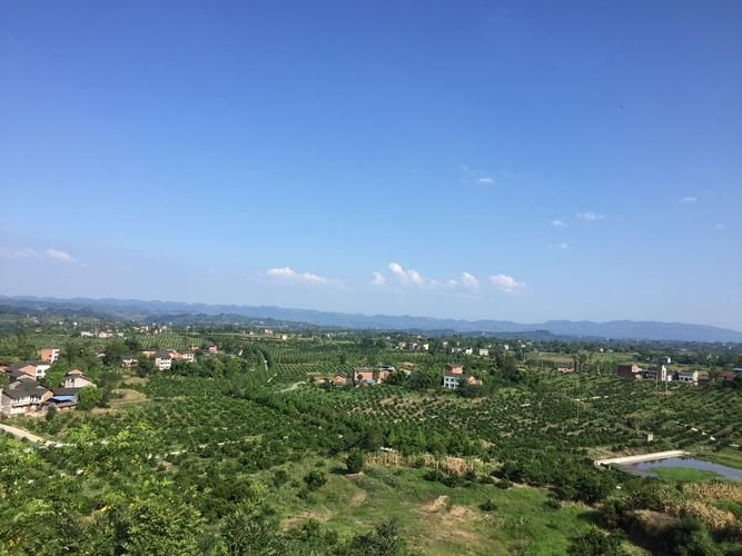 长寿区疫情观察：长江之畔的工业重镇如何应对零星散发