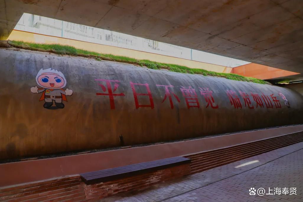 奉贤区:黄浦江畔的防疫屏障与零星破防