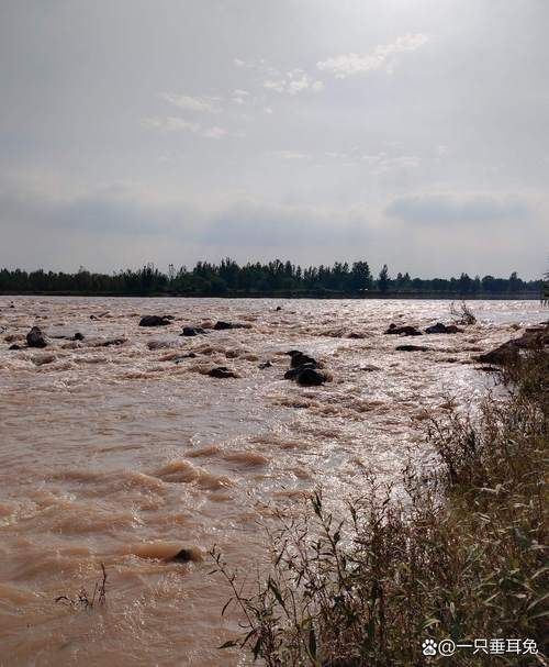 贞丰：喀斯特地貌下的疫情防波堤