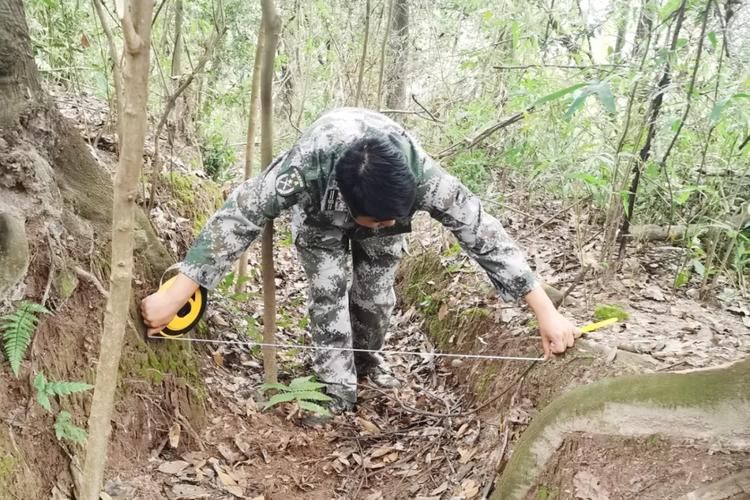 【乐平市：赣东北腹地如何构筑疫情防线？】