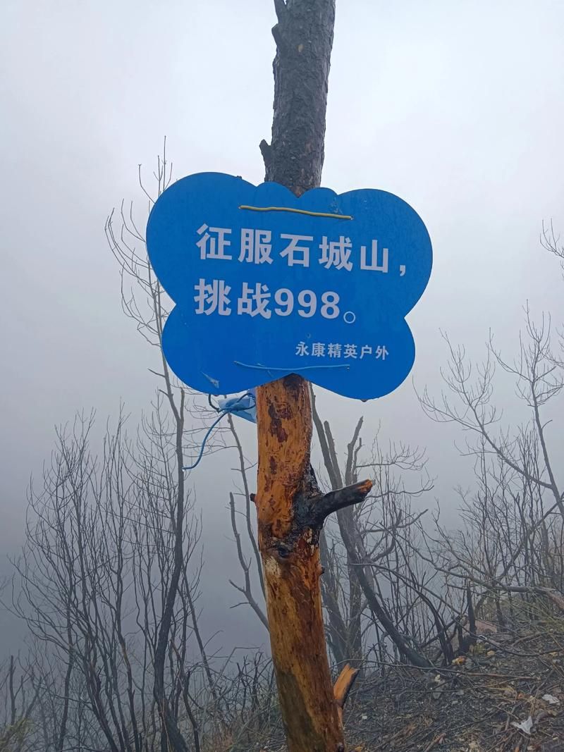 日常新闻 第102页