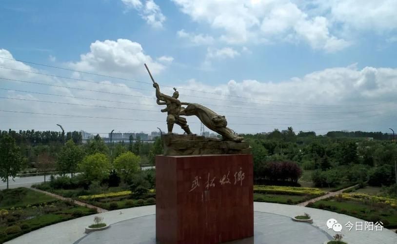 阳谷:鲁西平原上的疫情防线与破防时刻