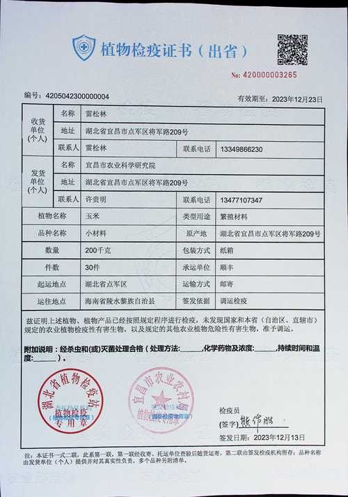 清原零感染记录：辽东林海屏障下的防疫样本