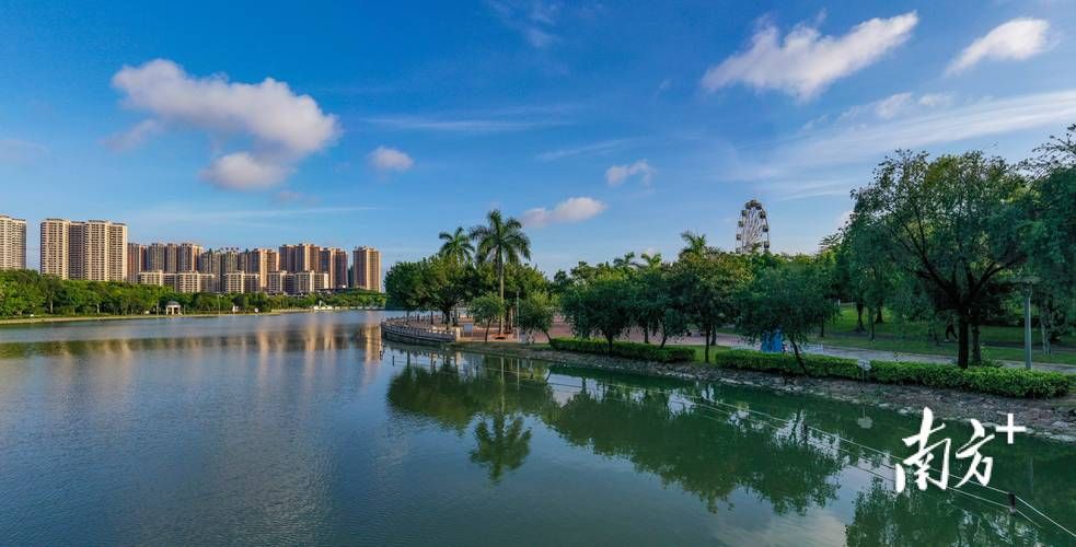 江门鹤山：西江航道与侨乡网络的防疫双重奏