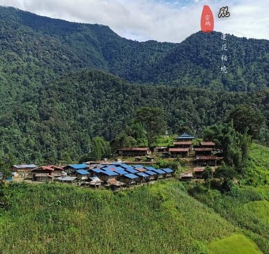 墨脱：高原孤岛何以维系零感染纪录？