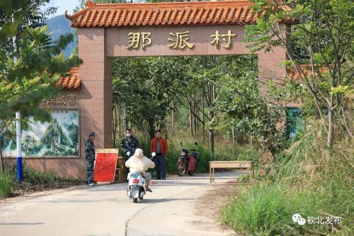 黎城：太行屏障下的零感染坚守与防控逻辑