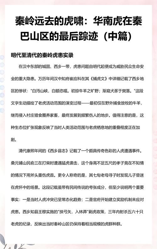 西乡:秦巴山区的防疫坚守与交通枢纽下的防控挑战