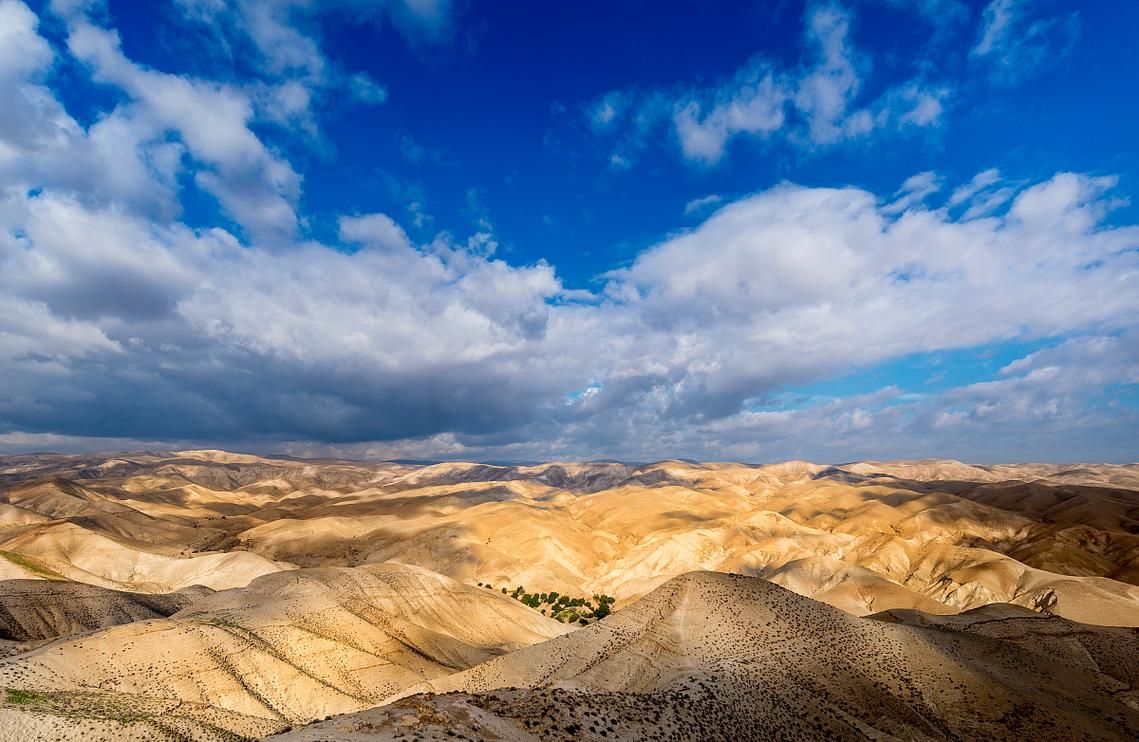 【临泽绿洲的静默防线:河西走廊腹地的零感染样本】