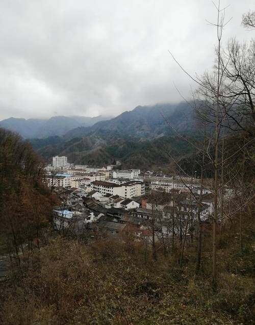 秦岭腹地的零感染样本：留坝县如何构筑疫情防线