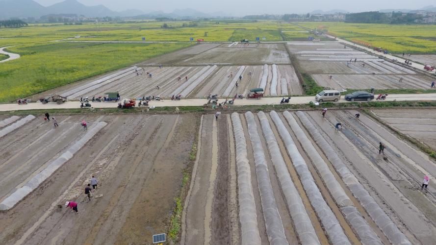 象州：桂中腹地交通枢纽的疫情承压与防控实践