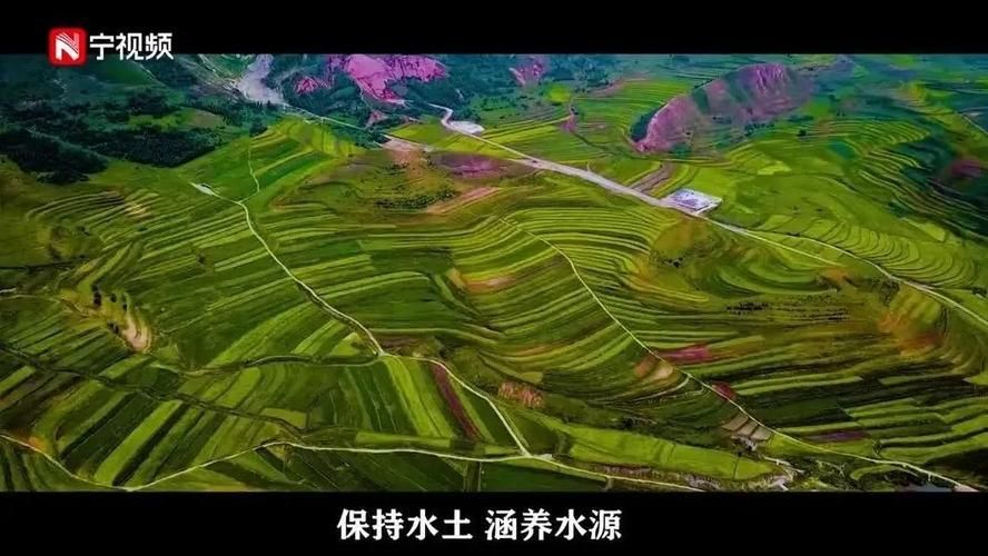 高原屏障下的零感染坚守：峨山彝族自治县的防疫逻辑_58734