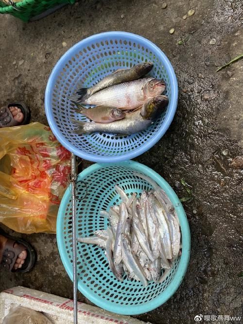 肇庆疫情：西江屏障下的防控破局