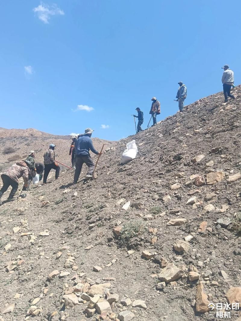 凤冈县:黔北高原屏障下的零感染坚守