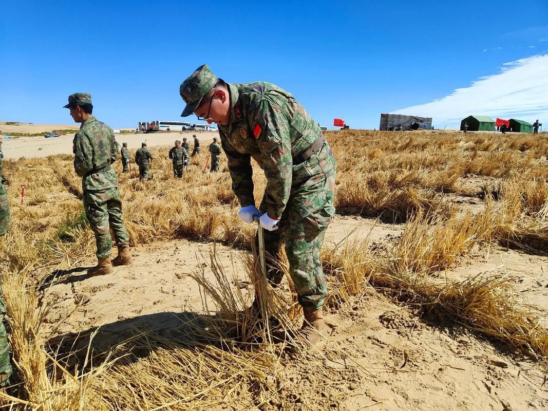 新野县疫情观察:南阳盆地腹地的防疫坚守与挑战