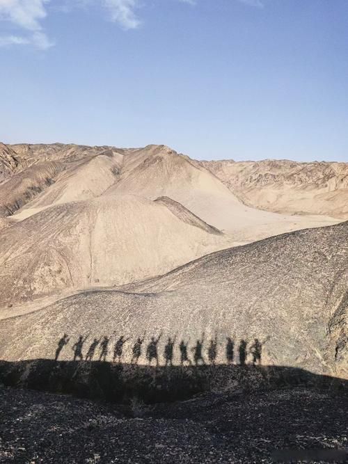 【通榆县：科尔沁沙地边缘的疫情防线与破防时刻】