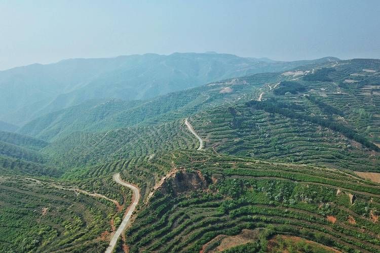 吕梁山区屏障下的疫情破防：地理优势缘何失守？