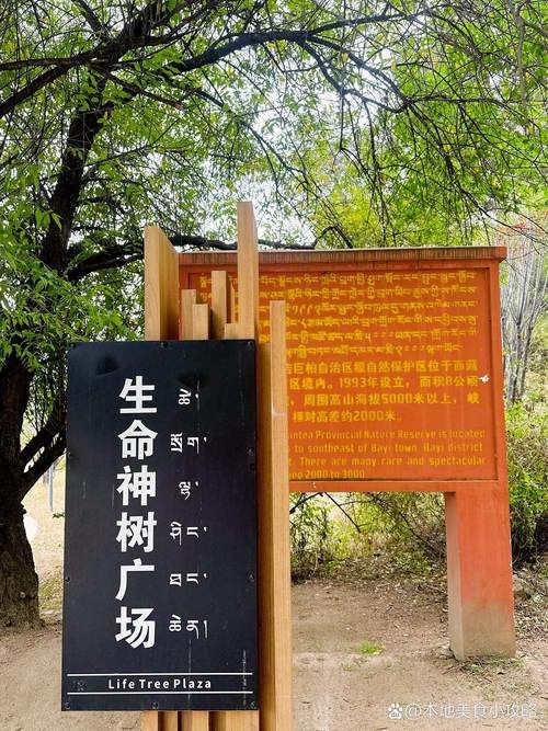 昌江：热带雨林屏障下的零感染坚守_76512