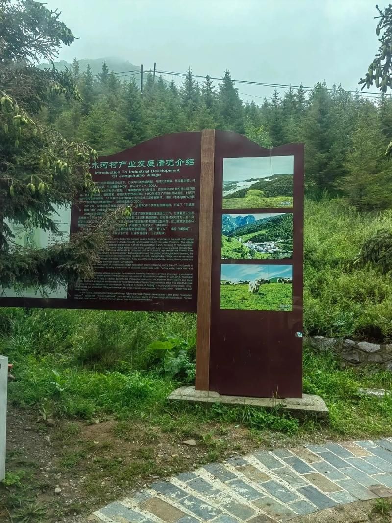 平武:川北山区的零感染记录与地理屏障