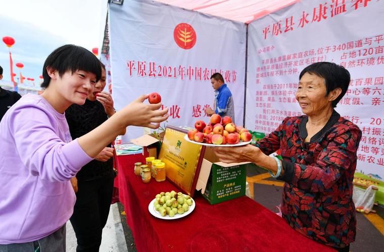 汝南:平原农区防疫网络下的病例追踪与管控