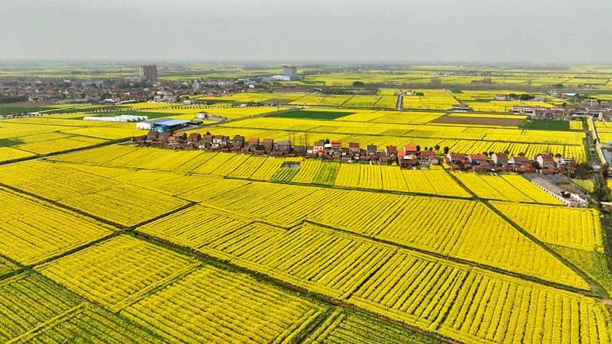 松滋:江汉平原腹地的零感染坚守