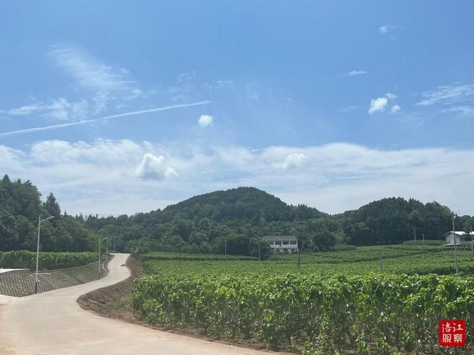 盐亭：川北丘陵地带的疫情防波堤