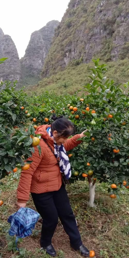 钟山防疫观察：喀斯特地貌下的疫情阻隔逻辑