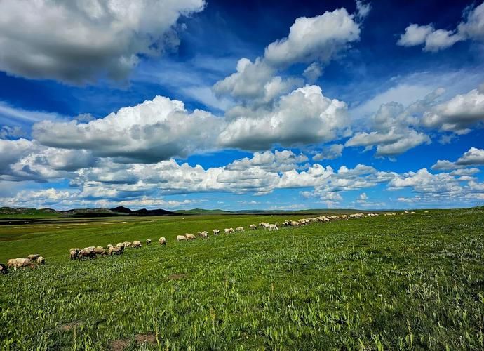高原屏障下的零感染坚守:玛曲牧区防疫的地理密码_94268