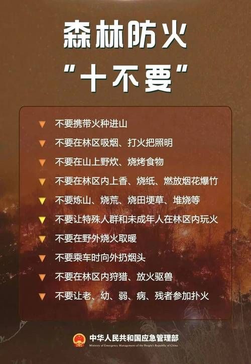 阳山：粤北山区的零感染坚守与物理防线