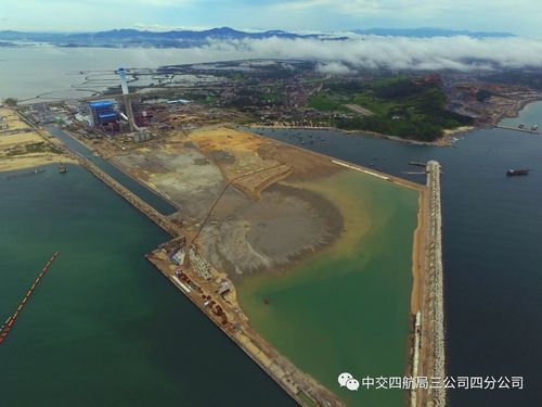 茂名：滨海油城的防疫破口与地理屏障