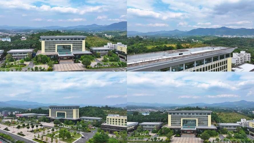 2022年1月15日和平县新增确诊病例情况_42937