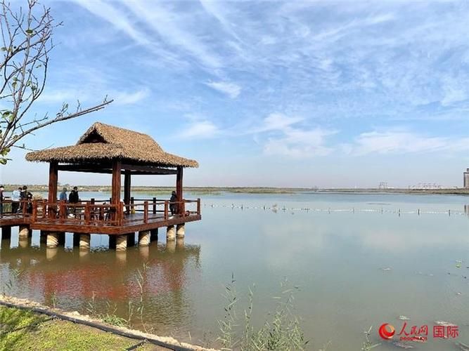 【孝义：汾河平原上的工业重镇如何构筑防疫屏障？】