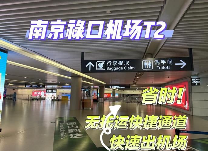 南京禄口机场破防：一座交通枢纽的疫情阻击战