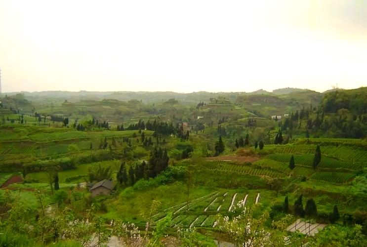 日常科普 第62页