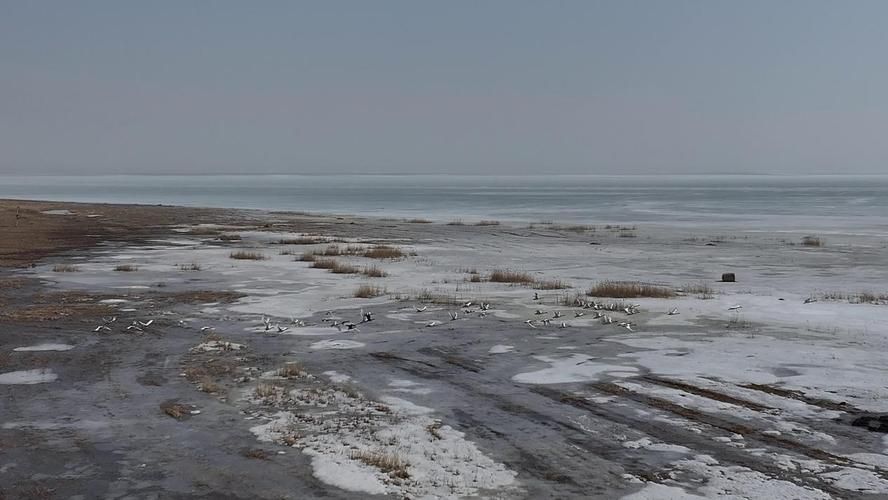 凉城样本:岱海屏障与零感染愿景的防疫实践