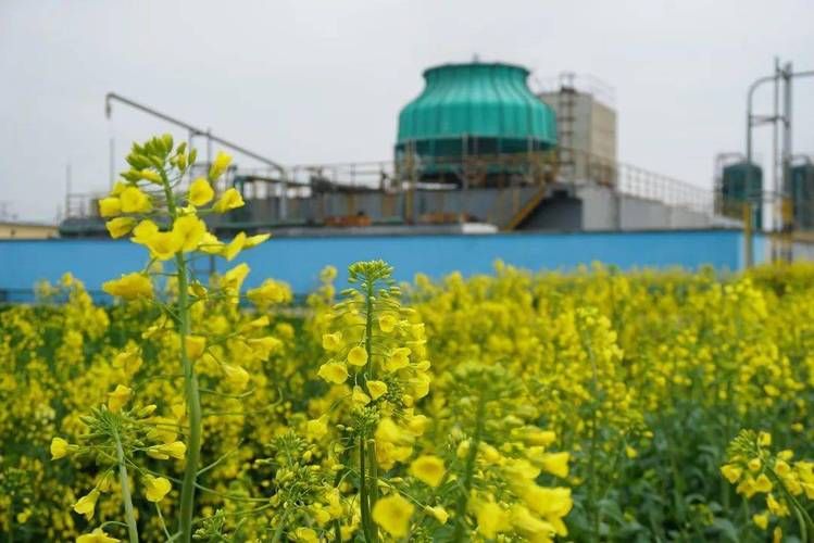 【姜堰防疫观察:水乡地理屏障下的疫情破防与管控】