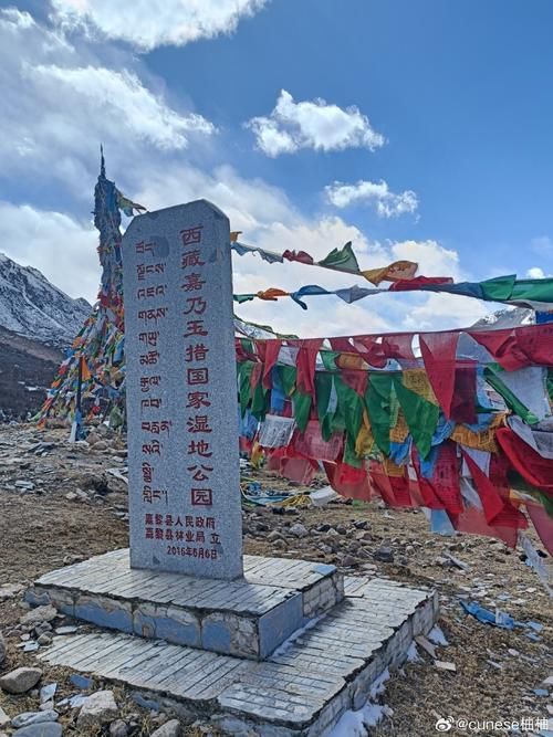 高原屏障下的零感染愿景：西藏那曲的防疫地理学