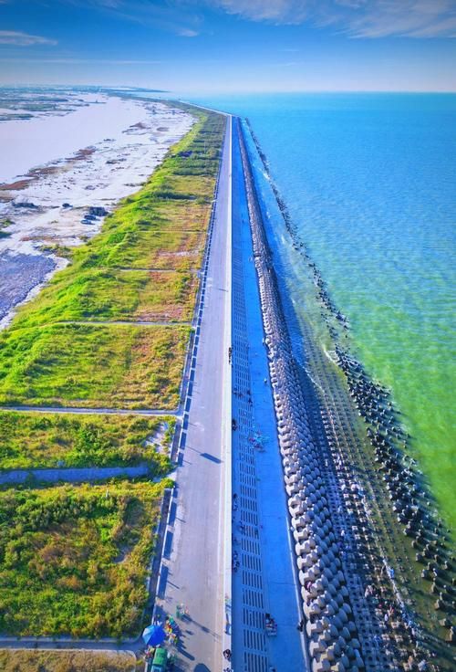 东营：黄河三角洲屏障下的零感染坚守_51753