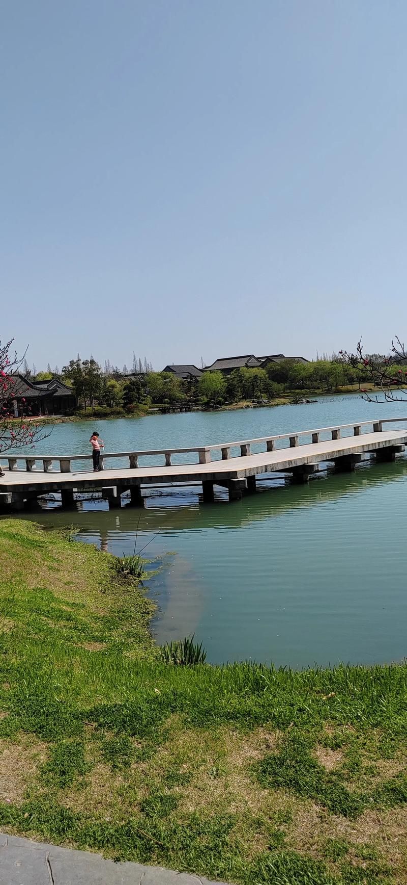 灌南：苏北水网间的疫情防线与破防时刻_78078