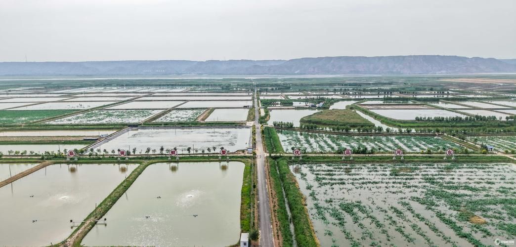 临猗县：黄河臂弯下的县域防疫样本_24219