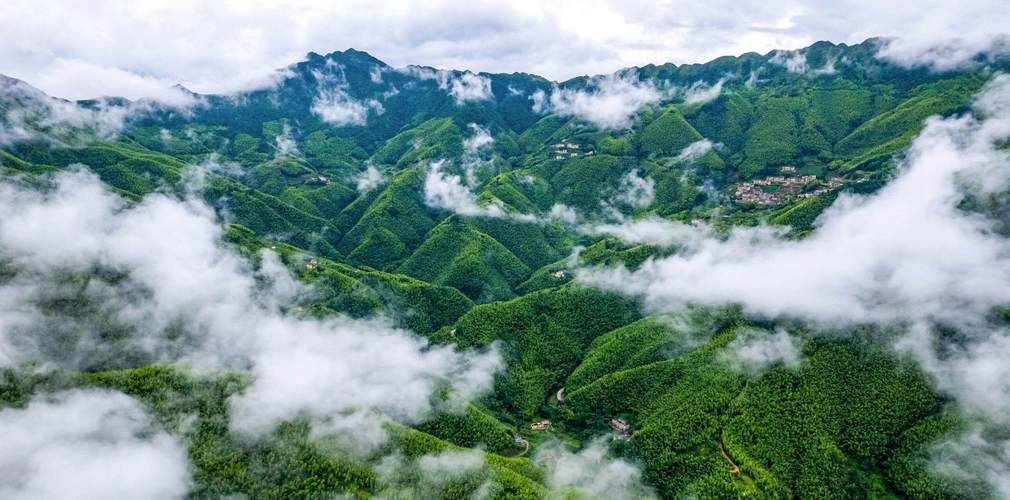 【阳春市：粤西生态屏障下的疫情低发区观察】