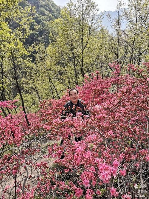 汝阳:伏牛山屏障下的低感染率样本解析