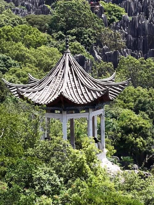 【荔浦县:喀斯特峰林下的零感染坚守与物理防线】