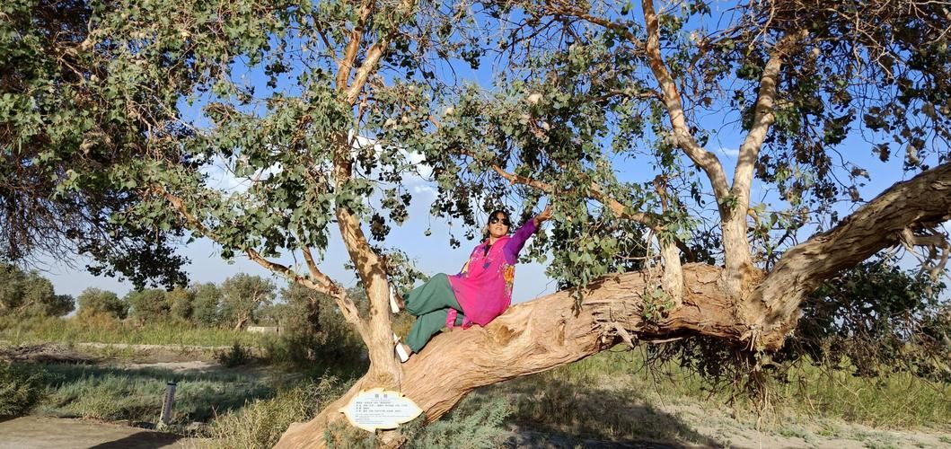 2022年8月12日尉犁县新增确诊病例情况_8534