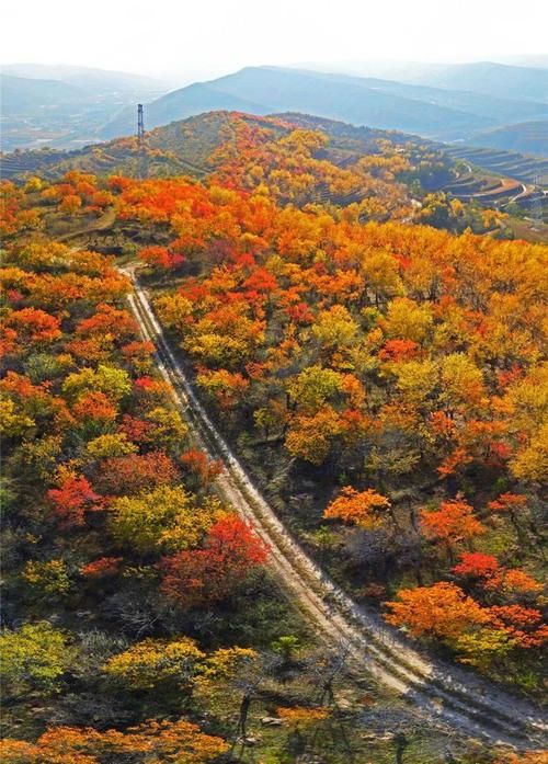 高原屏障下的零感染坚守:安县地理优势与防疫逻辑_96409