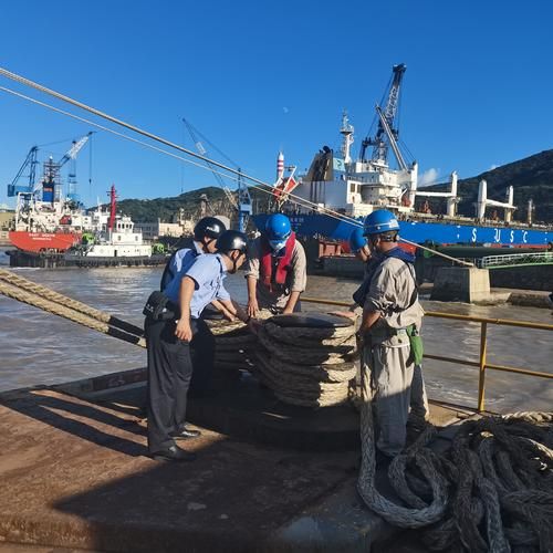 莱州湾畔的防疫坚守:港口城市如何应对输入风险_86603